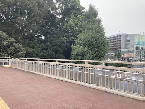 Forked Road Footbridge